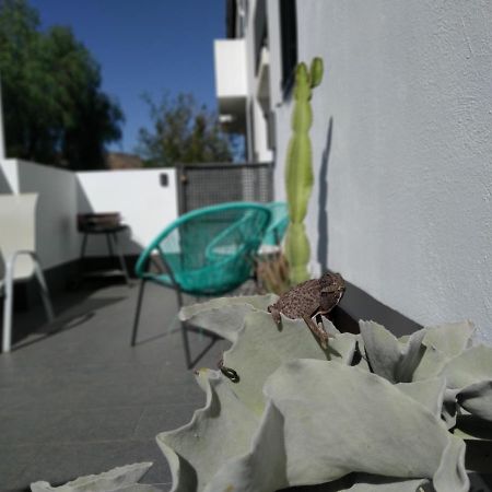 Piedranegra, Apartamento Completo Con Patio, Terraza Y Bbq Rodalquilar Eksteriør bilde