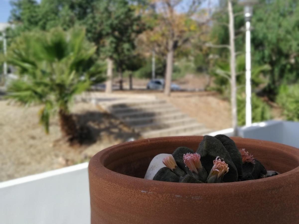 Piedranegra, Apartamento Completo Con Patio, Terraza Y Bbq Rodalquilar Eksteriør bilde